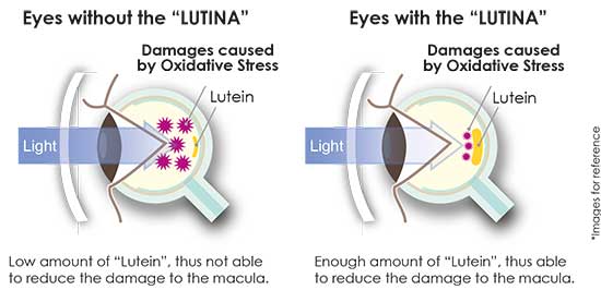 Tokai Lutina Coat, Lutein, protect the eyes, Oodo™