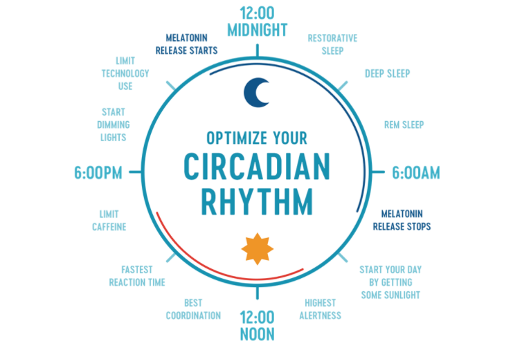Workplace illness, circadian rhythm, sleep well, Oodo™