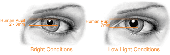 pupil reactions, sight test, eye exam, eye muscles, Oodo™
